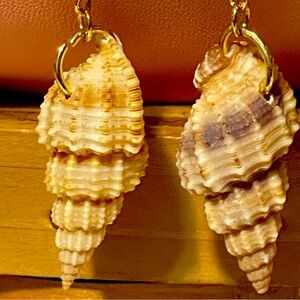 Handmade Seashell Conch Earrings